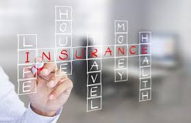 Contract Risk Insurance and Indemnities